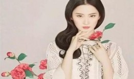 古风明星爆料视频大全,揭秘娱乐圈幕后风云